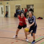 2018_02_03 TV Haßfurt II - SG Sennfeld